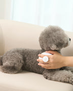 Gentle Silicone Dog & Cat Soft Brush