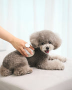 Gentle Silicone Dog & Cat Soft Brush