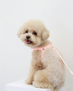 Macaron No Pull Dog Harness . Pink