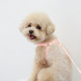 Macaron No Pull Dog Harness . Pink