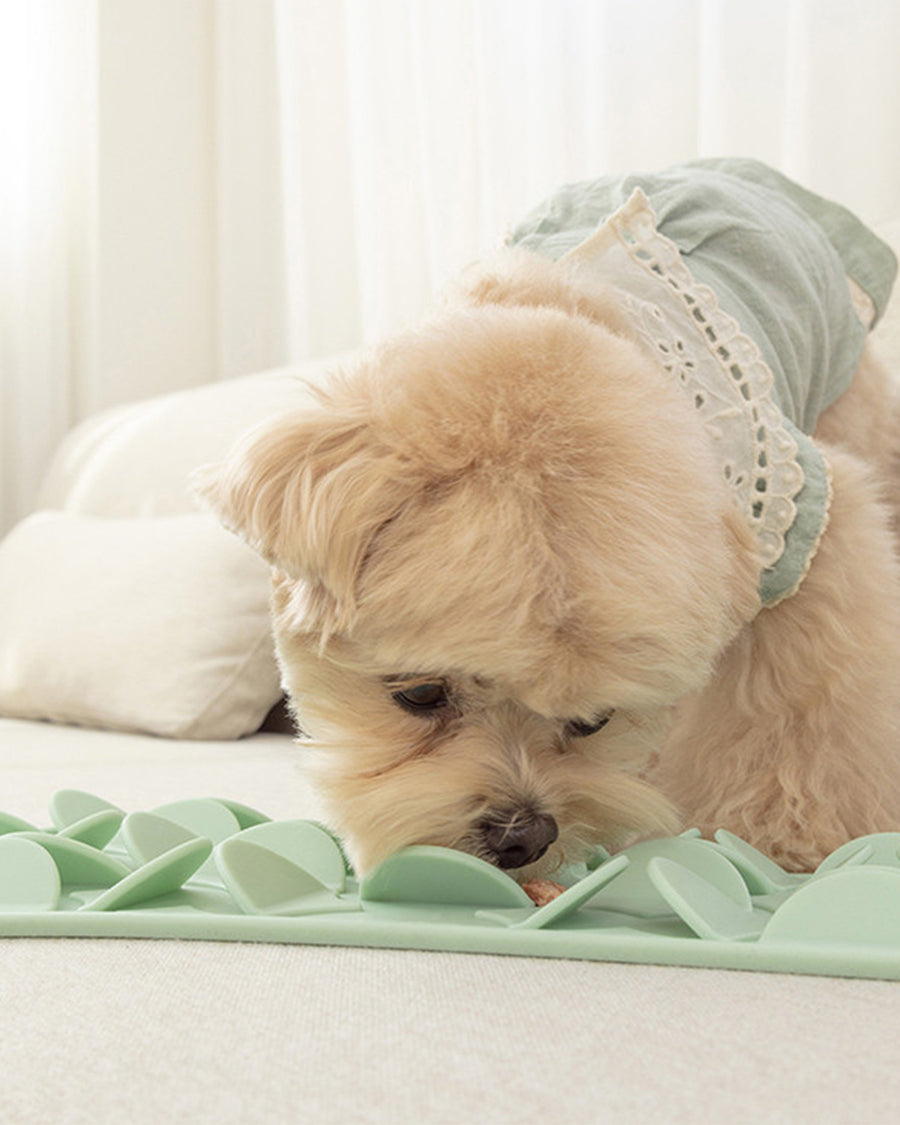 Silicon Snuffle Mat