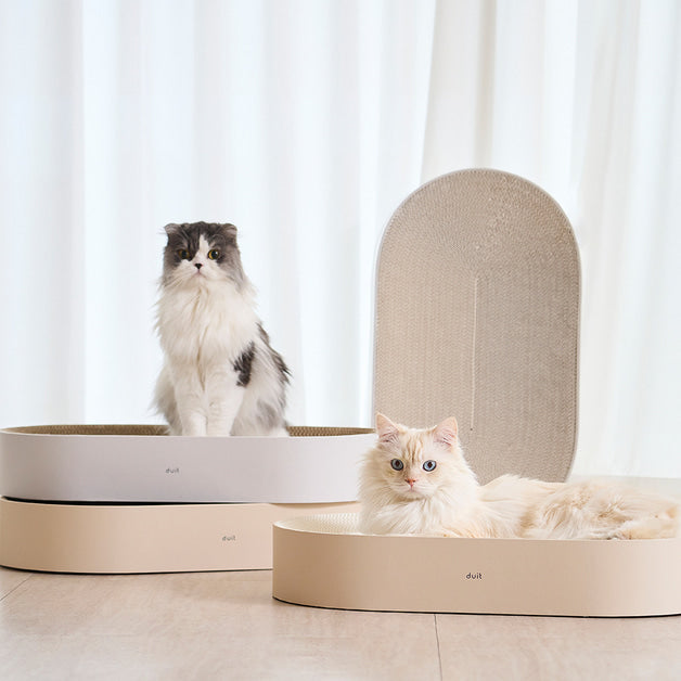 All Day Cat Scratcher . White