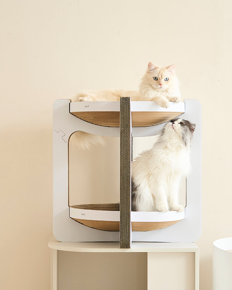 Tiramisu double-layer cat scratcher board with cozy resting space – Petssogood