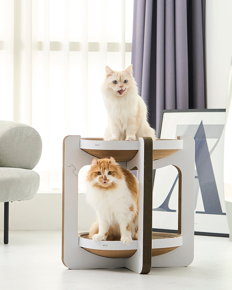 Tiramisu double-layer cat scratcher board with cozy resting space – Petssogood