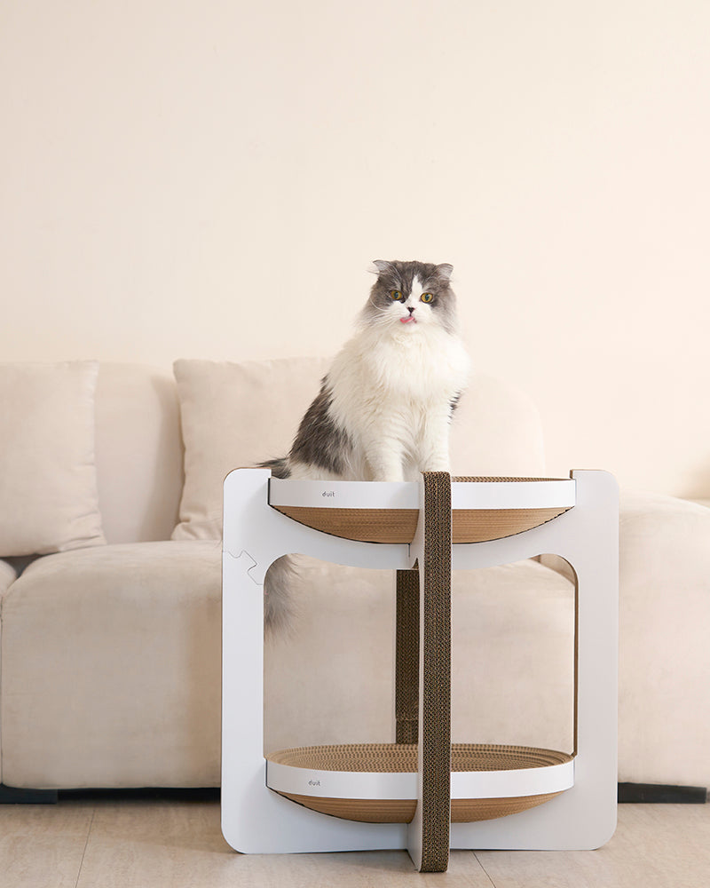 Tiramisu double-layer cat scratcher board with cozy resting space – Petssogood