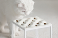Wave Slow Pet Feeding Table