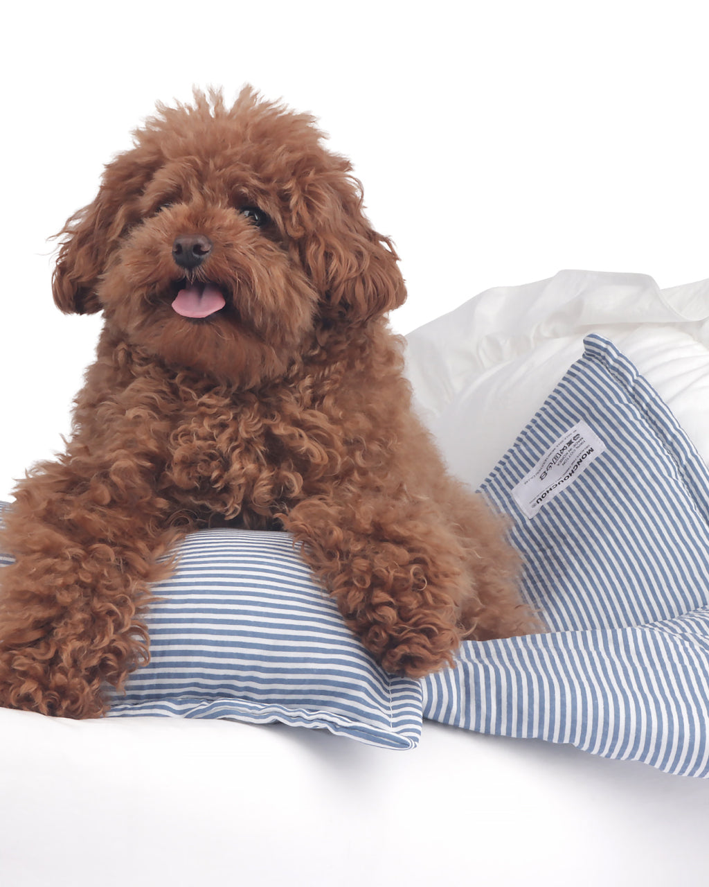 White organic cotton pet cradle bed with breathable antibacterial fabric and removable washable cover – Petssogood