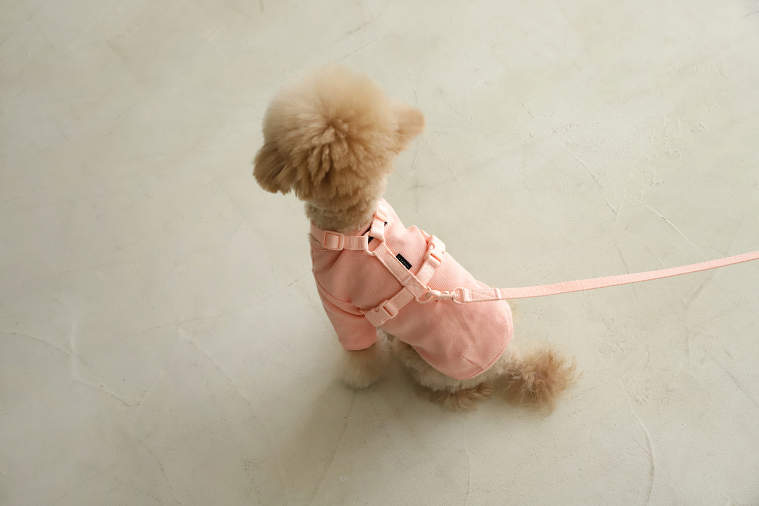 Macaron Leash . Pink
