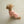 Macaron Leash . Pink