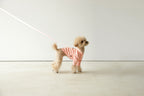 Macaron Harness . Pink