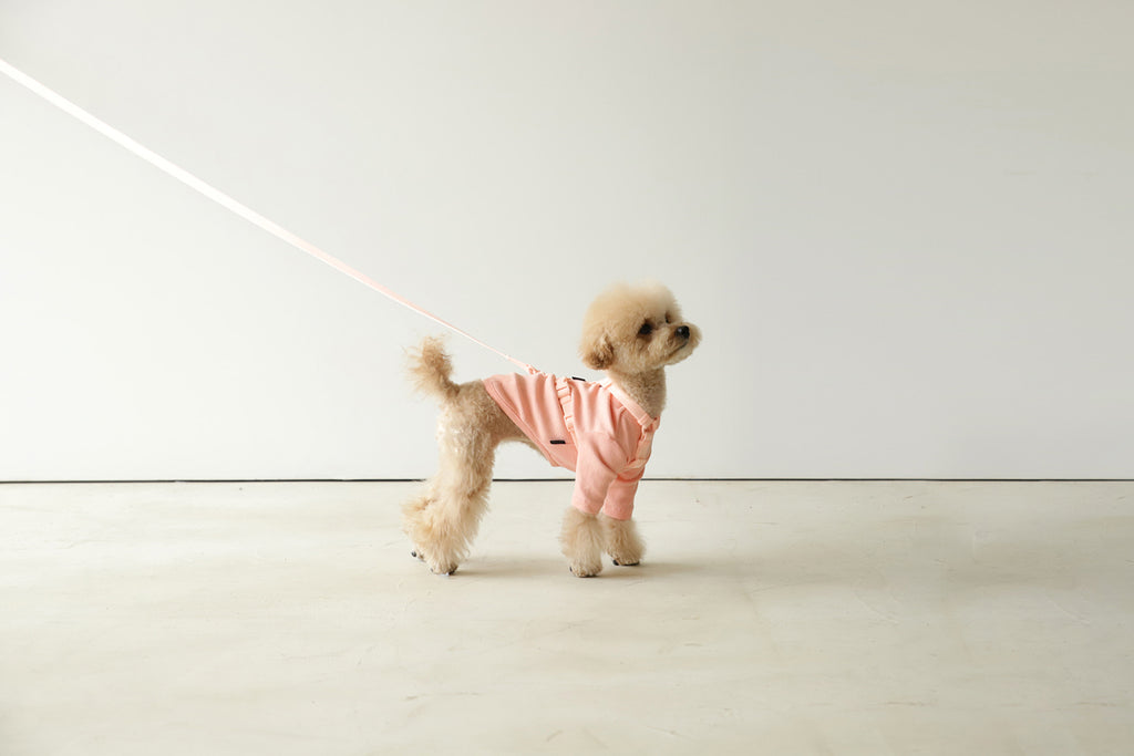 Macaron Leash . Pink