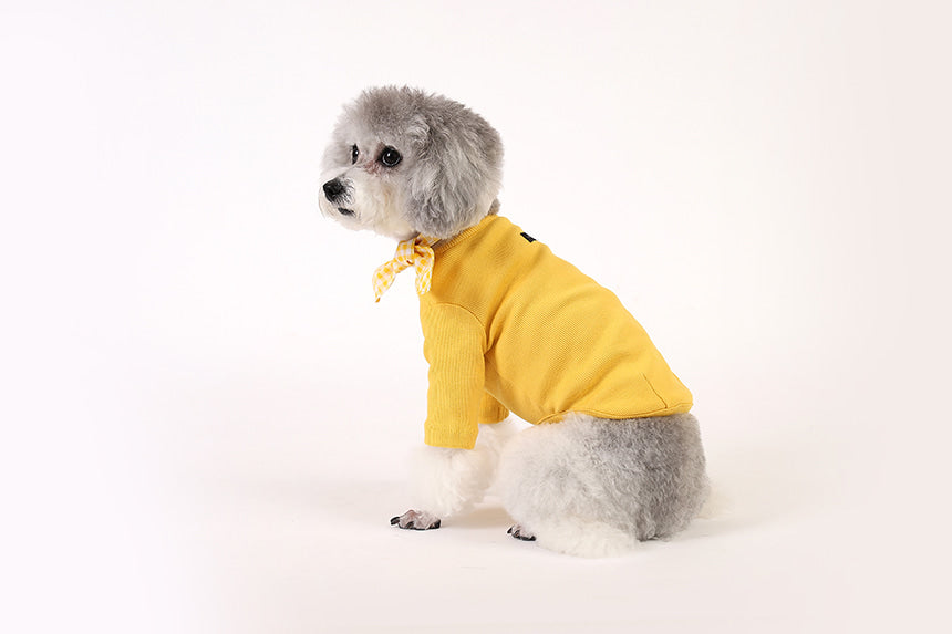 Gelato . Sleeve . Yellow