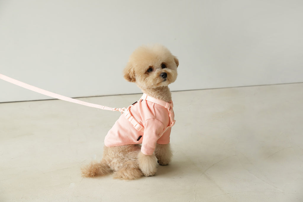 Macaron Leash . Pink