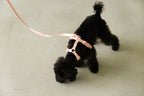 Macaron Harness . Pink
