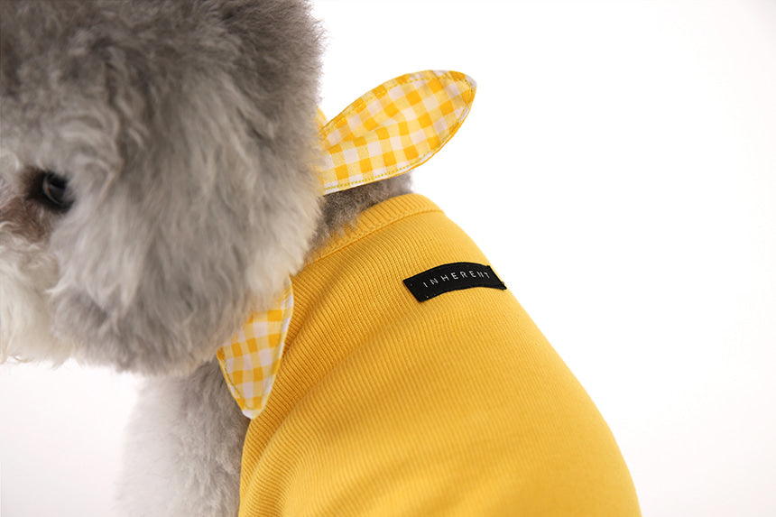 Gelato . String . Yellow