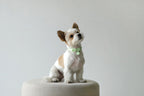 Macaron Collar . Mint Green