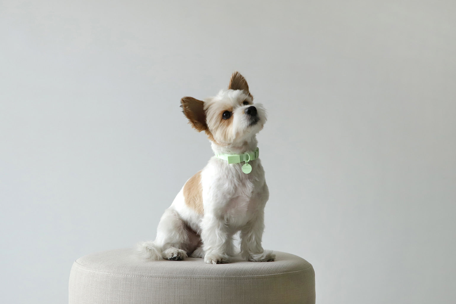 Macaron Collar . Mint Green