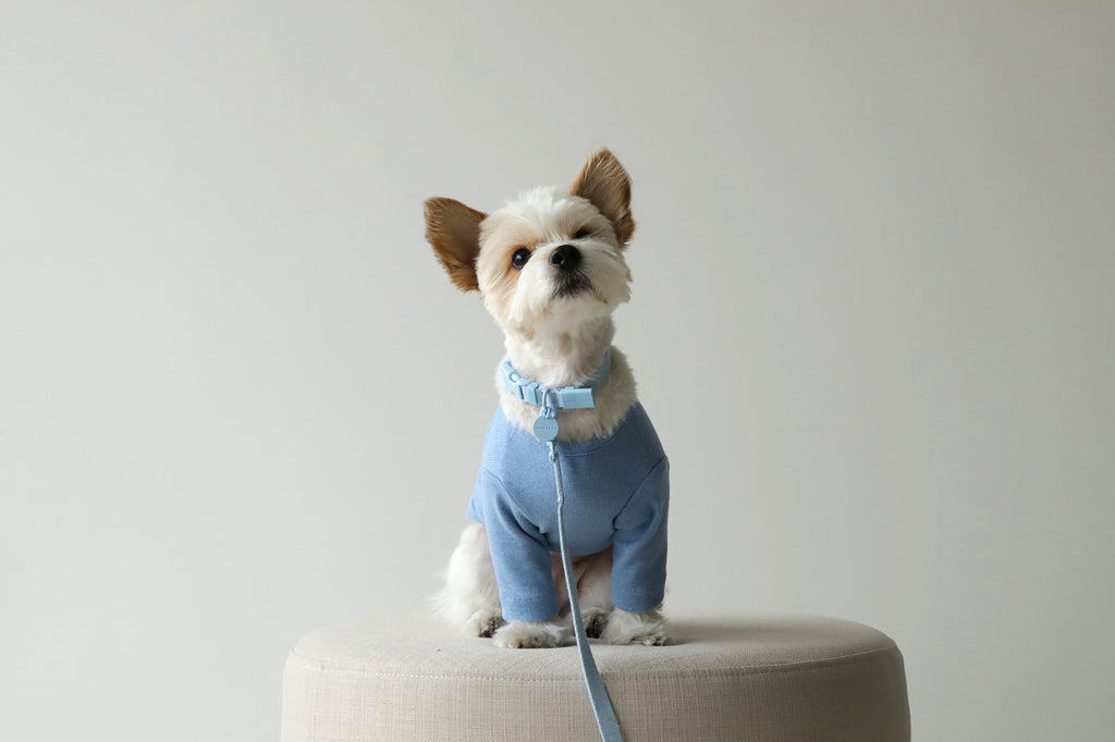 Macaron Collar . Blue