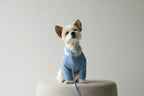 Macaron Collar . Blue