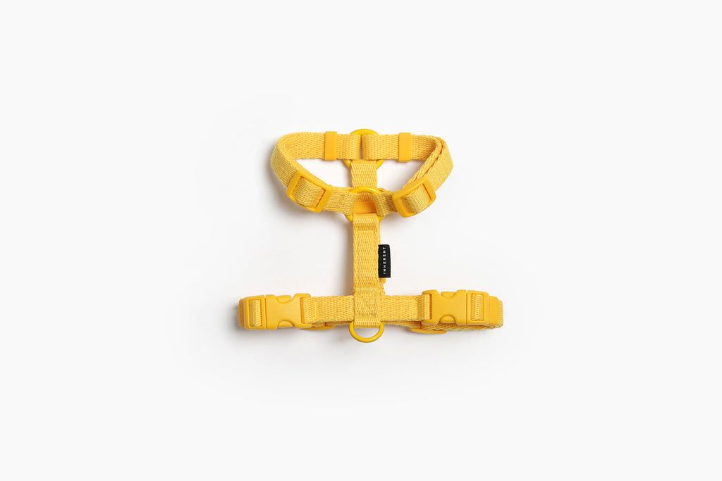 Macaron Harness . Yellow