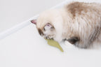 catnip toy for cat _ petssogood