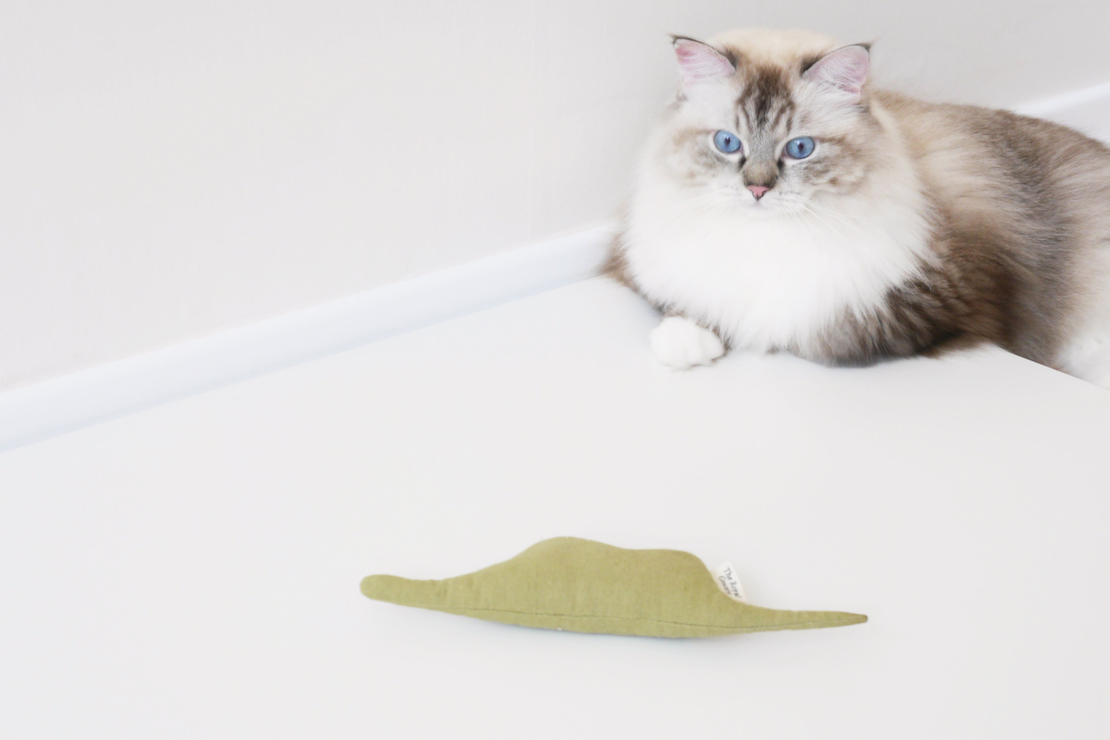 catnip toy for cat _ petssogood