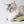 catnip toy for cat _ petssogood