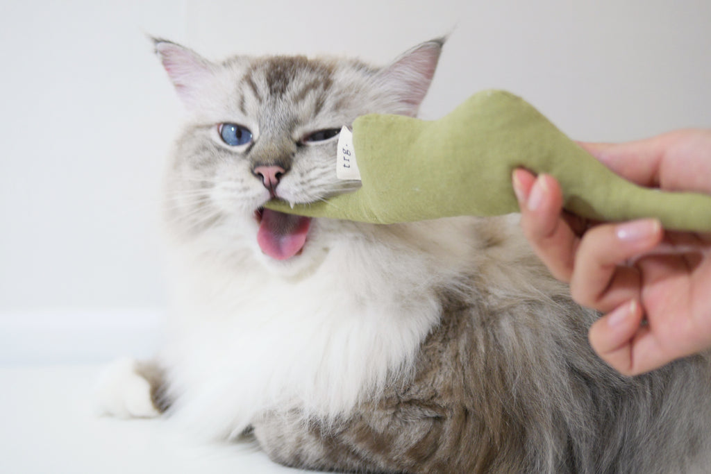 catnip toy for cat _ petssogood
