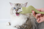 catnip toy for cat _ petssogood