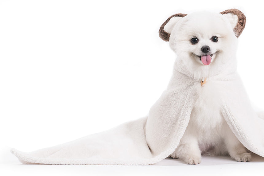 Bear Design Pet Dry Towel by Pets So Good