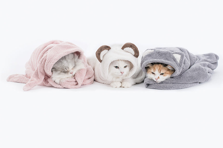 Animal hood towel . cat