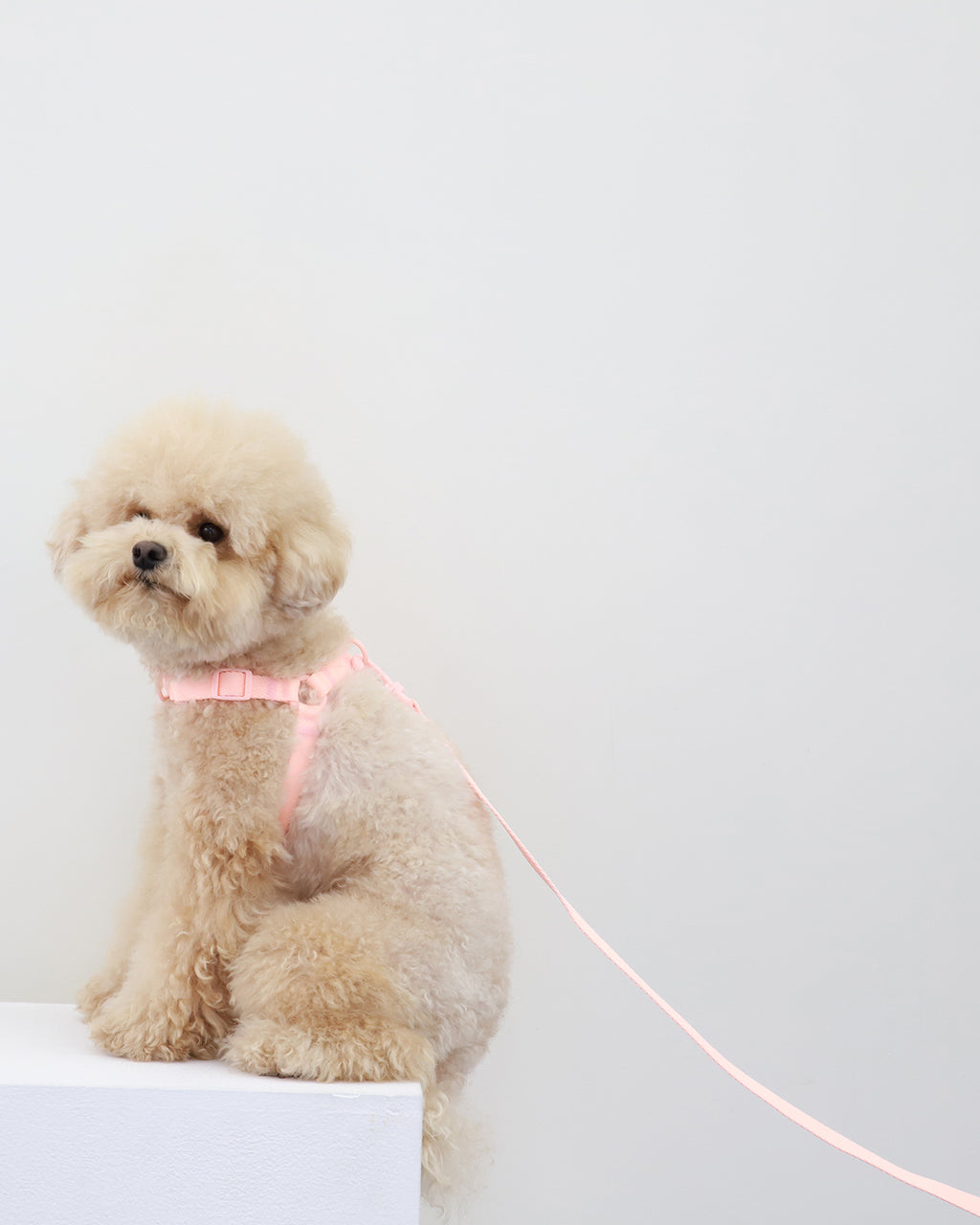 Macaron Hands Free Leash . Pink