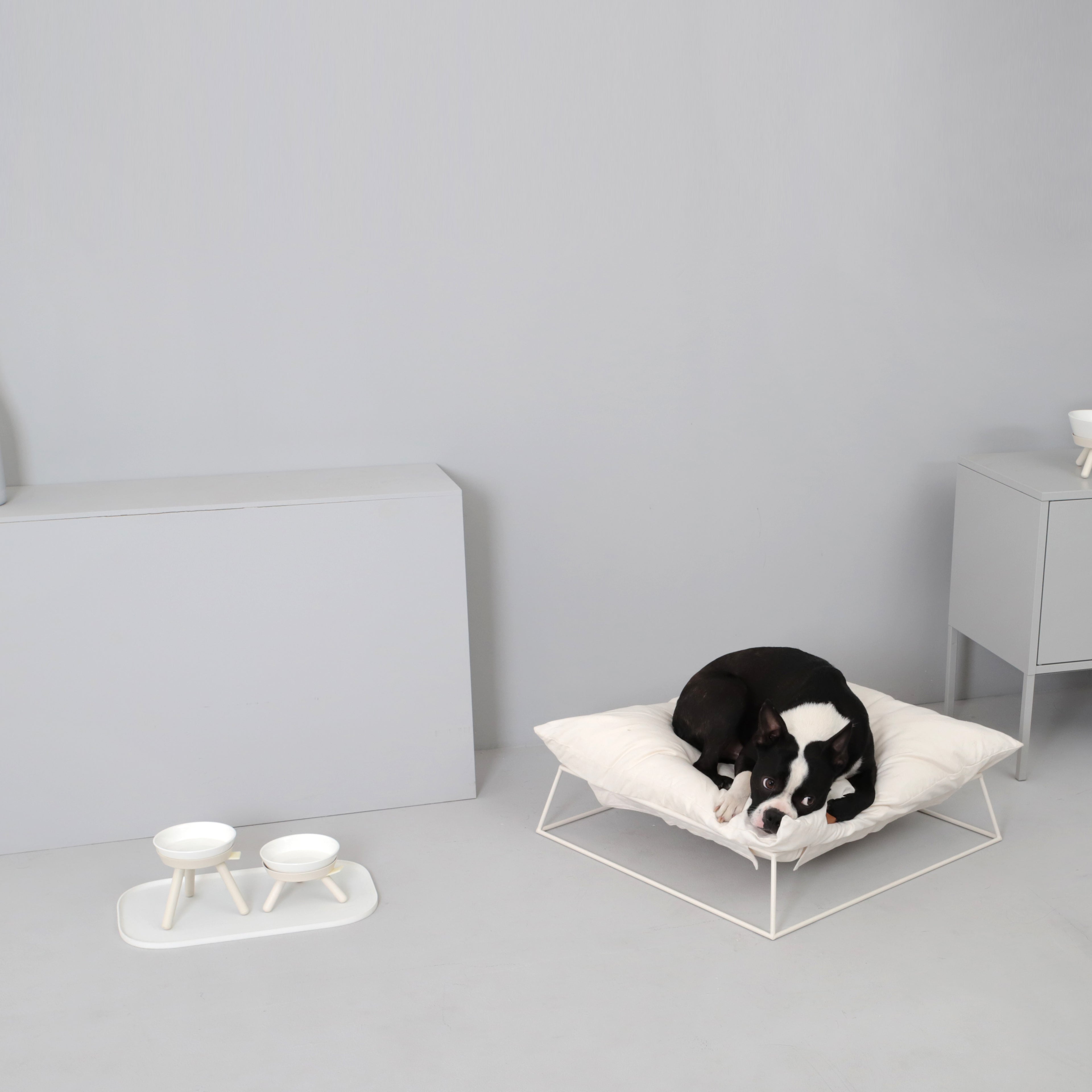 Oreo Elevated Pet Feeder Table . White . Short