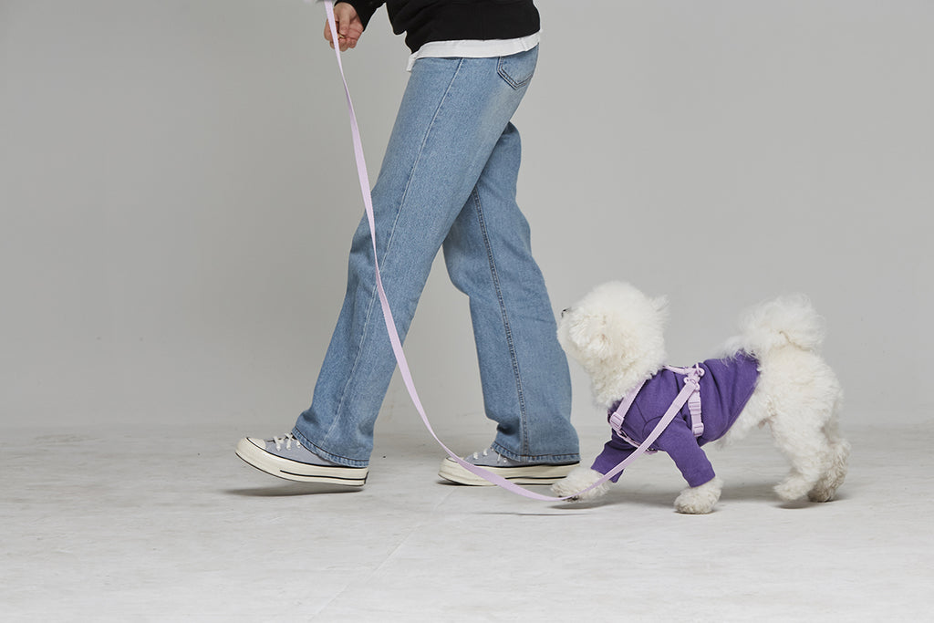 Macaron Harness . Lavender