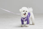 Macaron Leash . Lavender