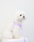 Macaron No Pull Dog Harness . Lavender