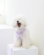 Macaron No Pull Dog Harness . Lavender