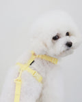 Macaron Harness . Lemon