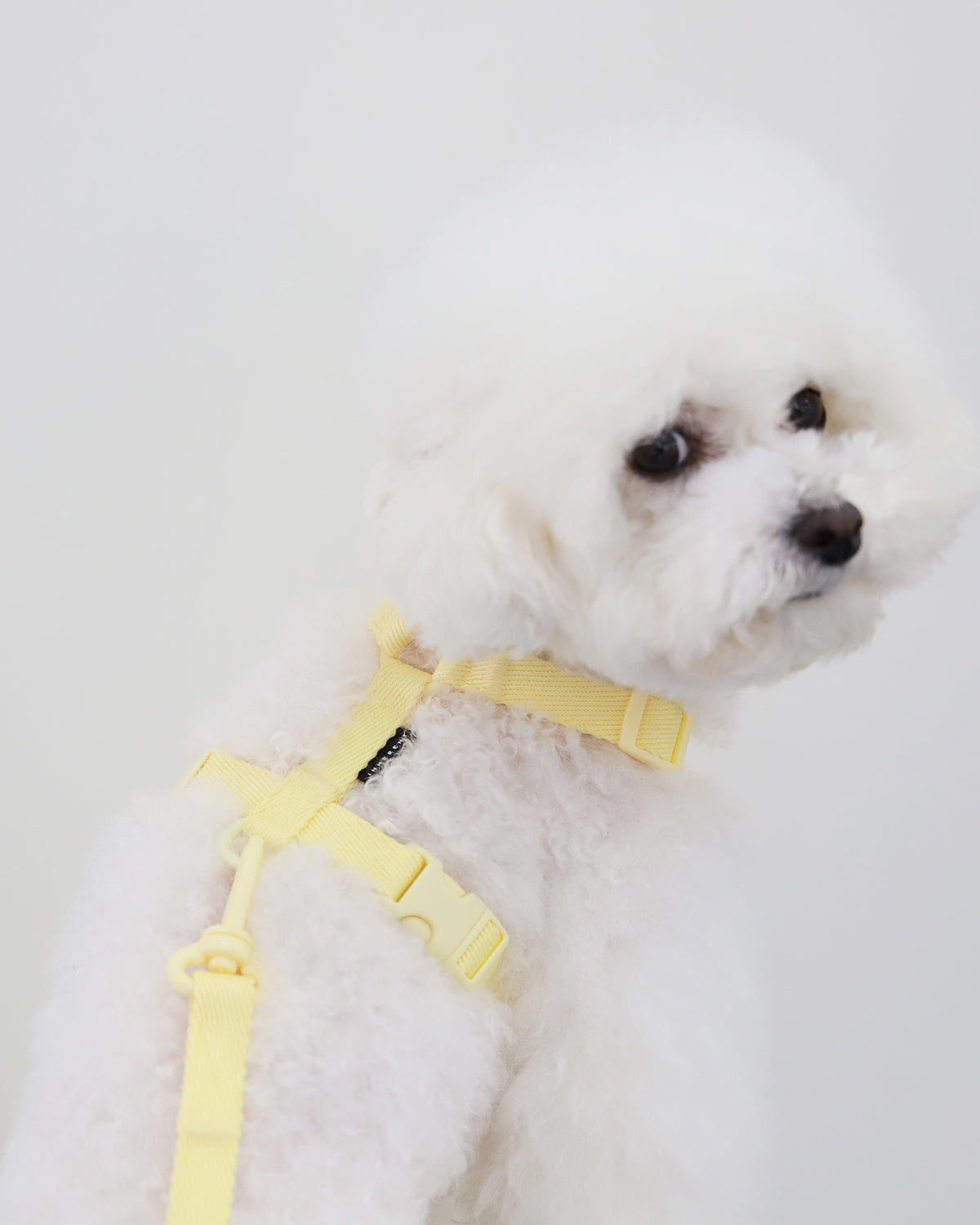Macaron Harness . Lemon