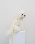Macaron Harness . Lemon