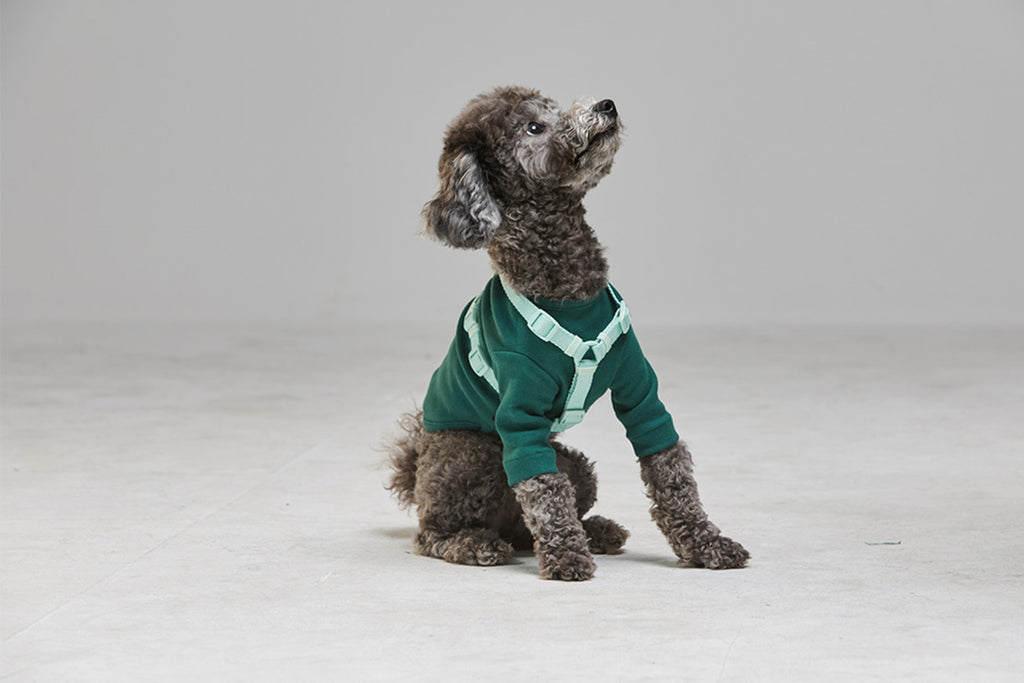 Macaron Harness . Aqua
