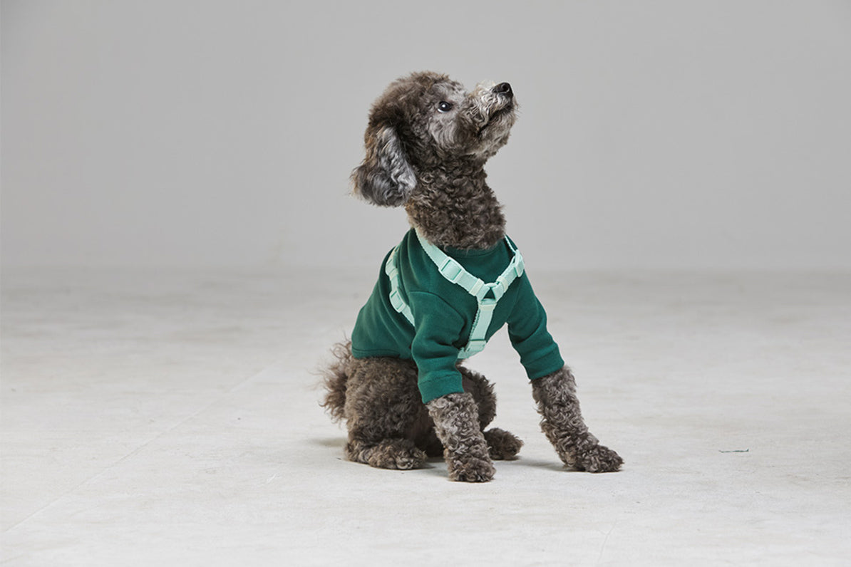 Macaron Harness . Aqua