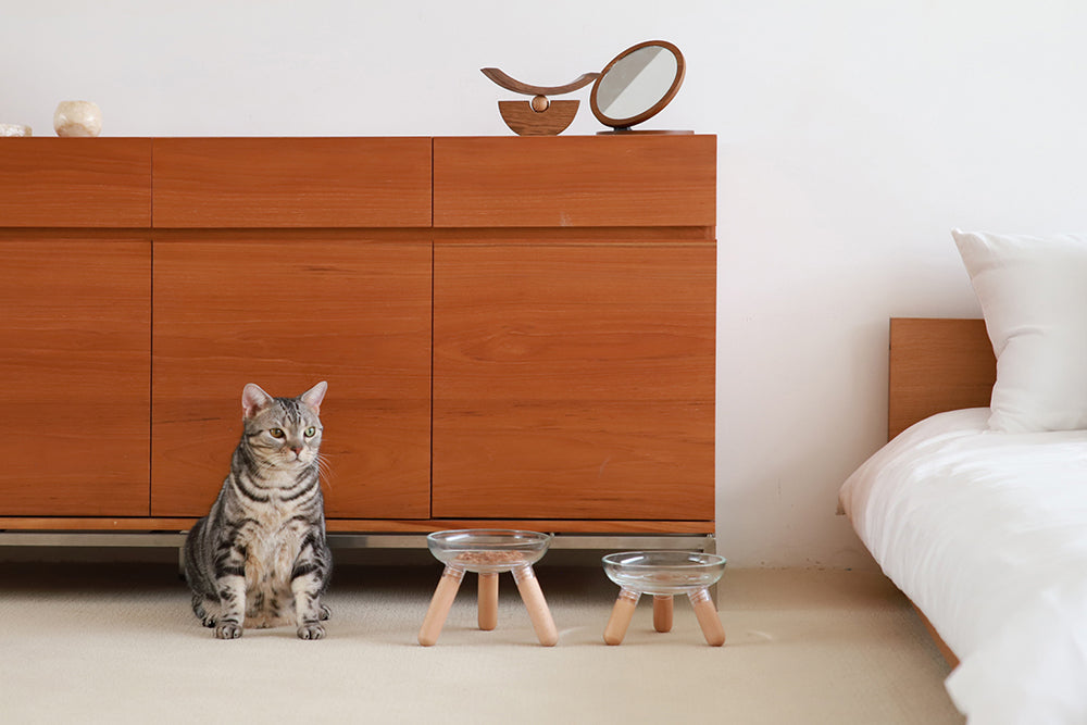 Elevated modern design feeding table for dogs and cats_pets so good
