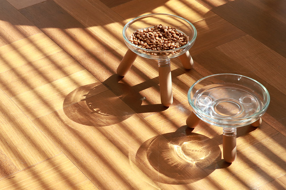 Elevated modern design feeding table for dogs and cats_pets so good