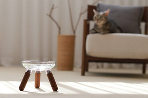 Oreo Glass Table. Walnut . Tall