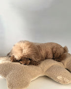 Brown bear-shaped boucle dog cushion for cozy naps – Petssogood