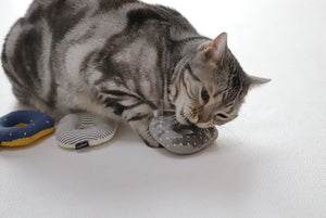 CatNut Cat Toys – Pets So Good1