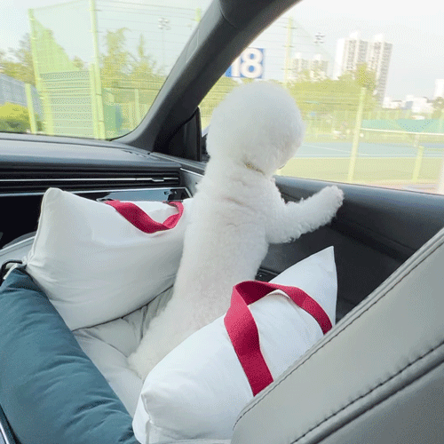 Voyage car pet seat with water-resistant fabric, non-slip bottom, and cozy cushion – Petssogood