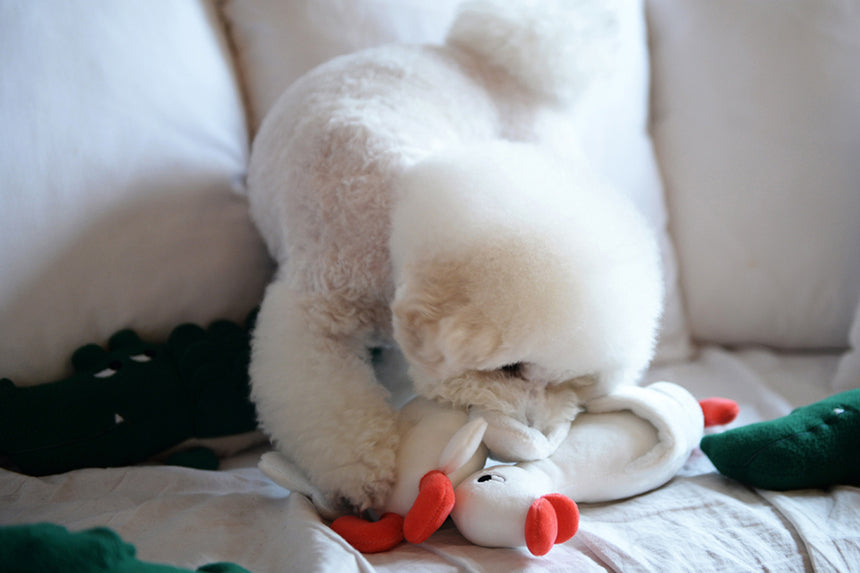 Flying Duck Nosework Toy