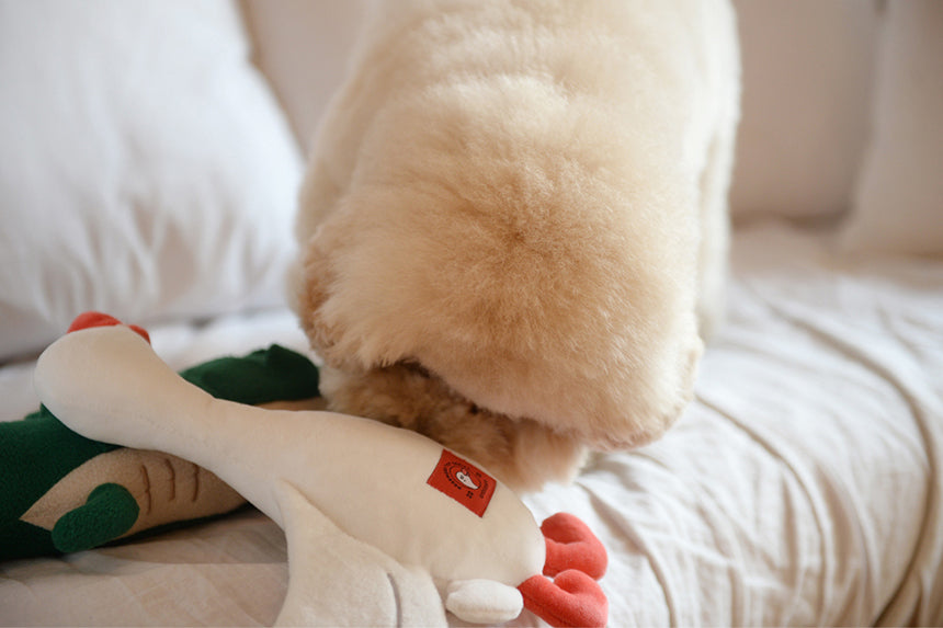 Dog playing with the Flying Duck Nosework Toy, sniffing for treats in its wing pockets